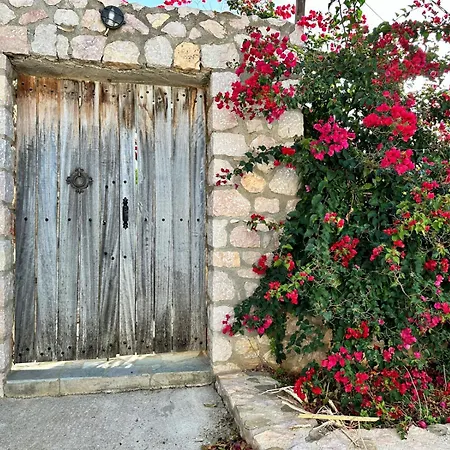 - Venezianische - Komplettes Eg - Meerblick Elíka