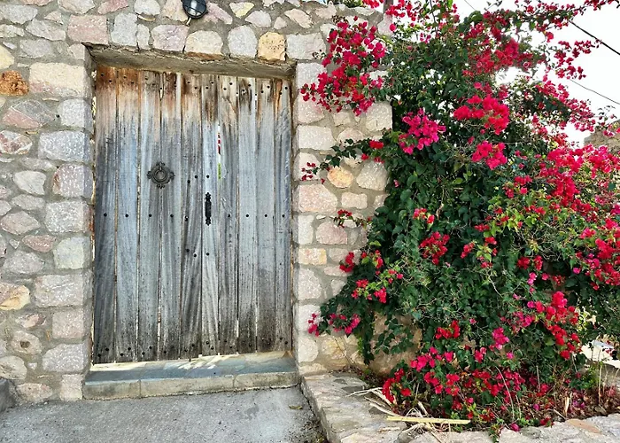 - Venezianische - Komplettes Eg - Meerblick Elíka